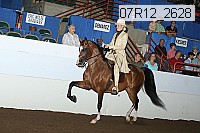 07r12_2628 proof