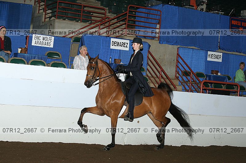 Proof 07r12_2667