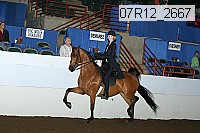 07r12_2667 proof