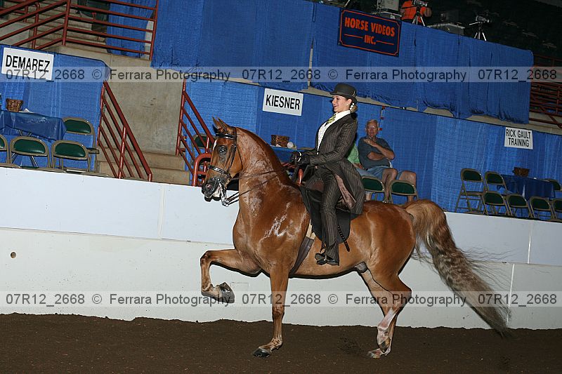 Proof 07r12_2668