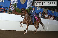 07r12_2673 proof