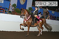 07r12_2675 proof