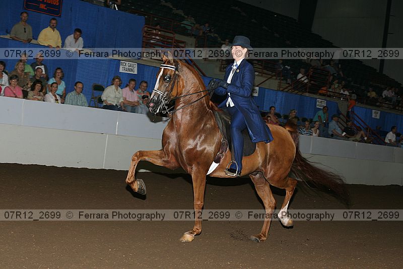 Proof 07r12_2699
