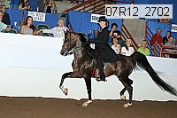 07r12_2702 proof