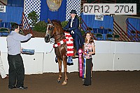 07r12_2704 proof
