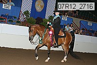 07r12_2716 proof