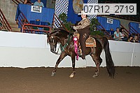 07r12_2719 proof