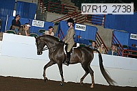 07r12_2738 proof