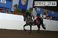07r12_2744 proof