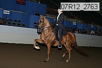 07r12_2763 proof