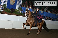 07r12_2768 proof