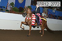 07r12_2772 proof