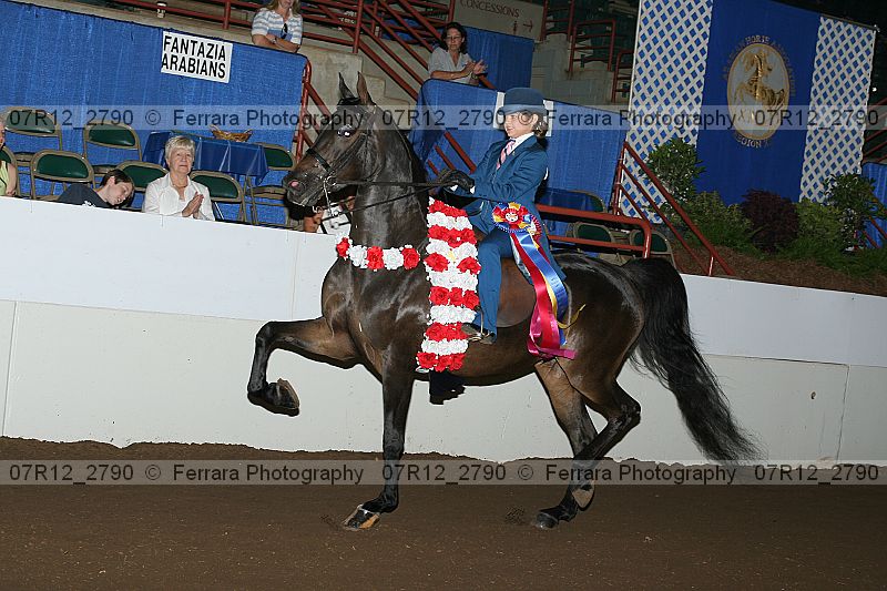 Proof 07r12_2790