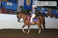 07r12_2813 proof