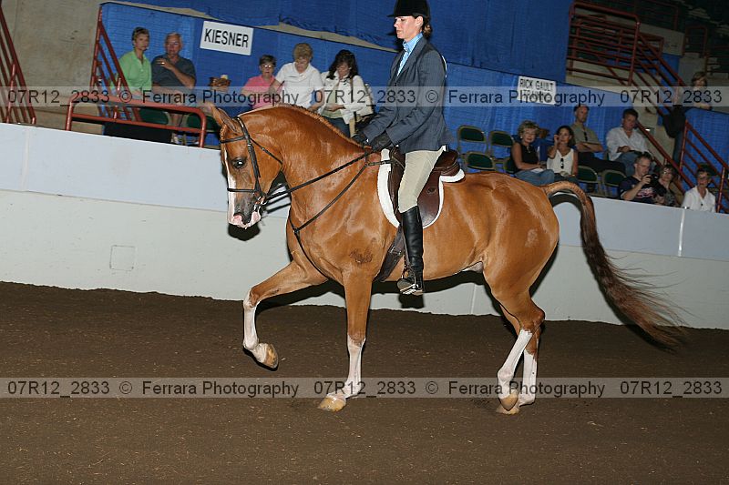 Proof 07r12_2833