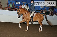 07r12_2833 proof