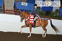 07r12_2852 proof
