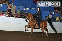 07r12_2861 proof