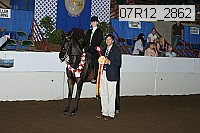 07r12_2862 proof