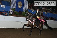 07r12_2870 proof