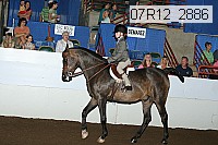 07r12_2886 proof