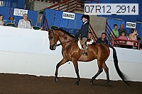 07r12_2914 proof