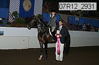 07r12_2931 proof