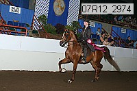 07r12_2974 proof