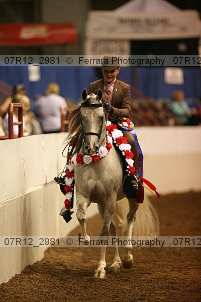 Proof 07r12_2981