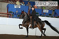 07r12_2999 proof