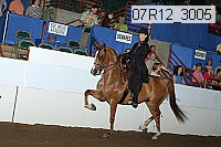07r12_3005 proof