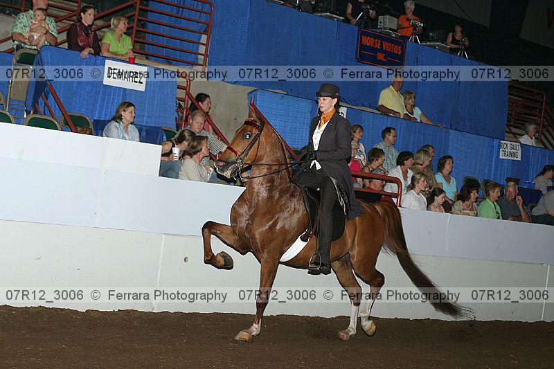Proof 07r12_3006
