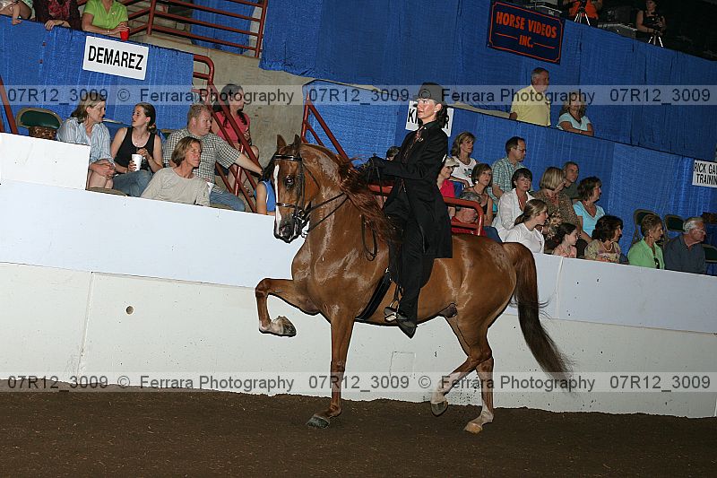 Proof 07r12_3009