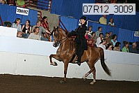 07r12_3009 proof