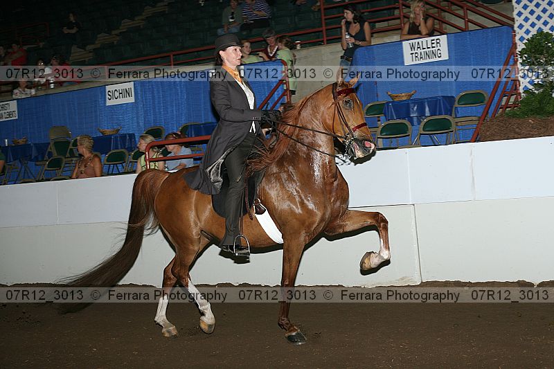 Proof 07r12_3013