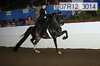 07r12_3014 proof