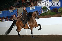 07r12_3016 proof