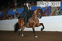07r12_3017 proof