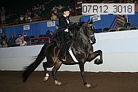 07r12_3018 proof