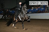 07r12_3023 proof