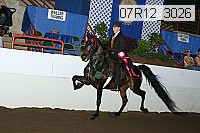 07r12_3026 proof