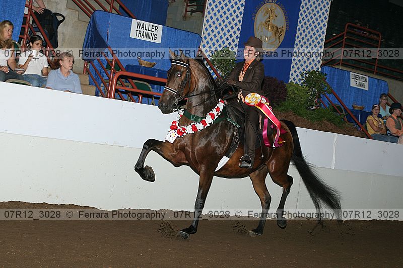 Proof 07r12_3028