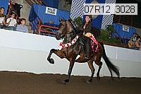 07r12_3028 proof