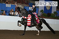 07r12_3029 proof