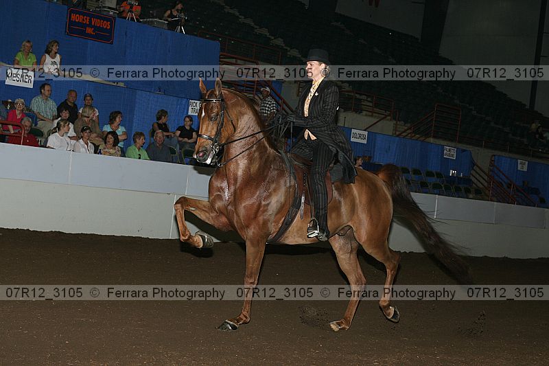 Proof 07r12_3105