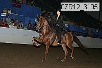 07r12_3105 proof