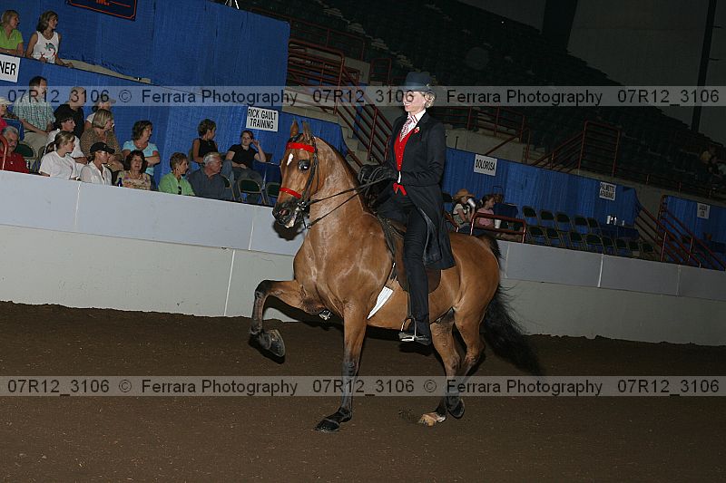 Proof 07r12_3106