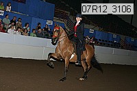 07r12_3106 proof