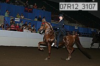 07r12_3107 proof