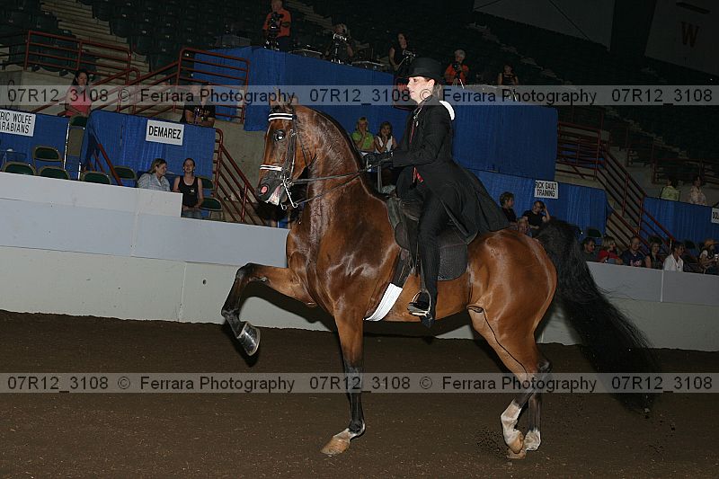 Proof 07r12_3108